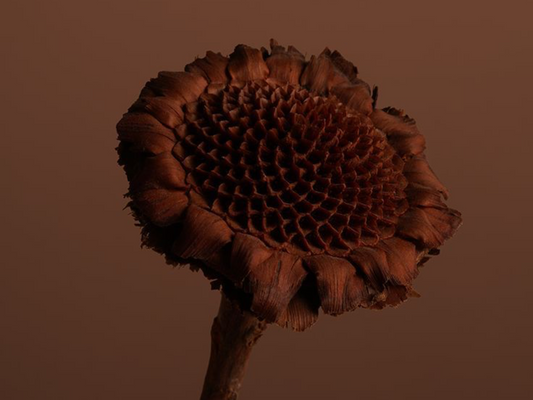 Seasonal Shift, Strategic Reset: Aligning with the Season to Reflect, Refocus, and Reconnect